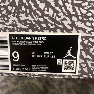 Jordan Air Jordan 3 Retro Black and Green Glow